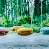 Macaroon - sunny mustard